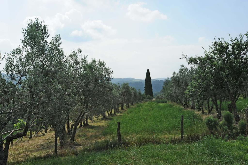 Borgo Rapale Vila Exterior foto